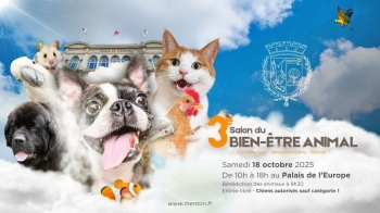 REPORTAGES ACTU et SOCIETE