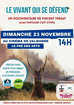 REPORTAGES ACTU et SOCIETE