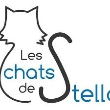 REPORTAGES ACTU et SOCIETE