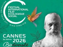 REPORTAGES ACTU et SOCIETE