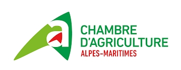 REPORTAGES ACTU et SOCIETE
