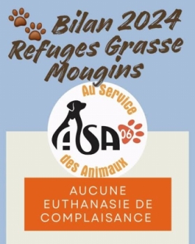 REPORTAGES ACTU et SOCIETE